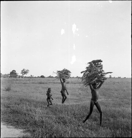 Dinka girls collecting firewood